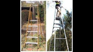 Platform ladders for hedge trimming