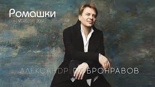Александр ДОБРОНРАВОВ - РОМАШКИ (New Version) | Дарите женщинам цветы