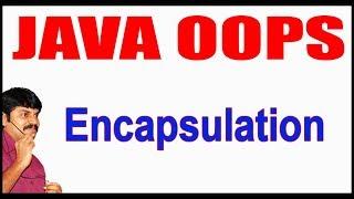 Java Tutorials || Java OOPS  ||  Encapsulation || by Durga Sir