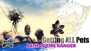 Guild Wars 2: How to Get ALL Ranger Pets in Path of Fire - LOCATIONS
