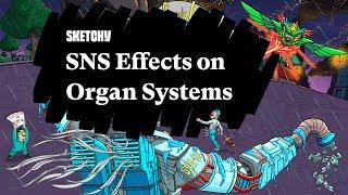 SNS & Its Effects on Organ Systems (Part 1) | Sketchy Medical | USMLE Step 1