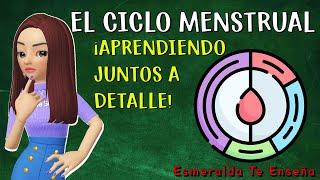 🩸La Menstruación y su Ciclo Menstrual