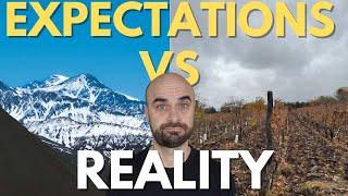 A Weekend in Mendoza | Expectations vs. Reality