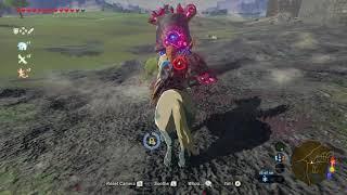 Mipha's Grace was ready...  [BotW]