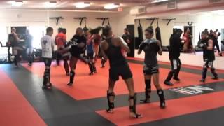 topfighter/elite mma kickbox training