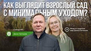 Как выглядит взрослый сад с минимальным уходом? Обзор от создателя сада – Дениса Баташева