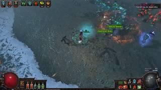 PoE 3 0 LVL 96 SRS   No removes Screenfreeze Flask