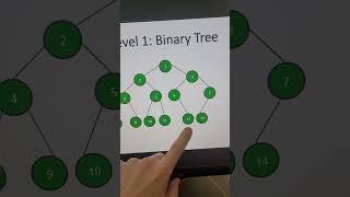 The 3 Levels of Binary Trees | Standard, Binary Search Trees (BST) and Self-Balancing (AVL)