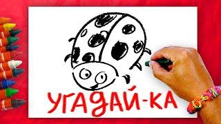 Насекомые - ЗАГАДКИ для детей - игра в угадайку