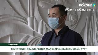 ТӘУЕЛСІЗДІК ЖЫЛДАРЫНДА МАЛ ШАРУАШЫЛЫҒЫ ДАМИ ТҮСТІ