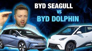 BYD Seagull vs BYD Dolphin. Why is the Seagull HALF the price?