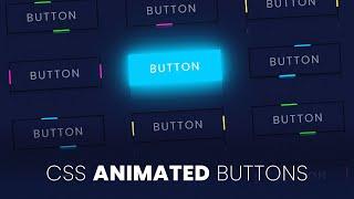 CSS Animated Buttons with Hover Effects | Html CSS Animation