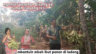 Keladang mbantu mbah ibut panen singkong & pisang sekalian ngantar ke rumah @isayang@IsaYang123