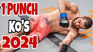 ONE PUNCH MMA Knockouts 2024 | Cold Blooded Moments 