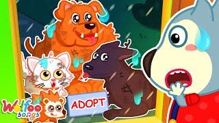 Pet Adopt Song - Having New Super Pets | Kids Songs & Nursery Rhymes @WolfooFamilySongs