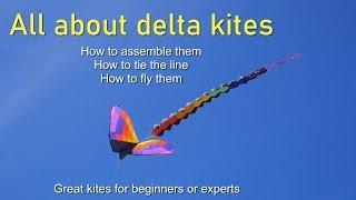 All about delta kites - how to assemble and fly them