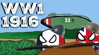 The BLOODIEST Year of World War One (WW1 1916 Explained) - Naron's History