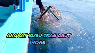 Aktifitas harian Bubu ikan laut dasar