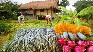 Bountiful harvest in our farm | Harvesting Filipino vegetables | Countryside life