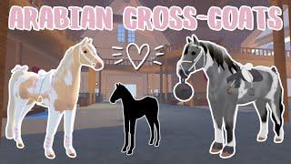 Breeding ARABIAN Cross-Coats! | Wild Horse Islands