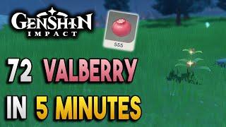Valberry Locations - Fast and Efficient - Ascension Materials -【Genshin Impact】