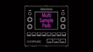 Multisample blackbox