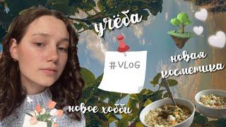 vlog / учёба, алмазная мозаика и bullet journal