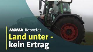 Wie die Bauern unter Dauerregen und Überschwemmungen leiden | ARD-Morgenmagazin