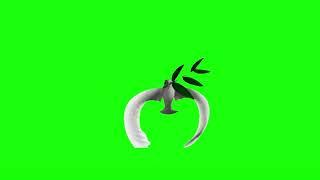 Green Screen Dove Flying Bird  | Chroma Key Graphics For Videos No Copyright (Free To Use)