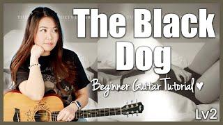 The Black Dog  Taylor Swift EASY Guitar Tutorial TTPD Beginner Lesson  Chords, Strumming & Guide 