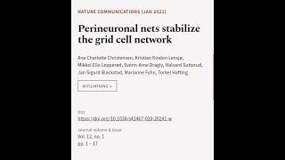 Perineuronal nets stabilize the grid cell network | RTCL.TV