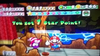 Reaching Max Level on Paper Mario: TTYD