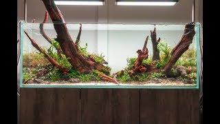 Filipe Oliveira Aquascaping Workshop at Aquarium Gardens