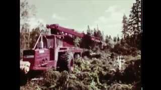 Forestry in Sweden 1969