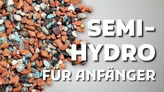 (Semi-) Hydrokultur für Anfänger: Dein Leitfaden!