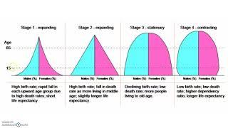 3.5 Age Structure Diagrams