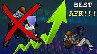 Top 5 BEST Rewarding AFK Activites for RS3 Ironman in 2024