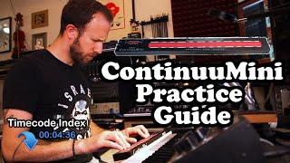 A Complete Guide to Practicing ContinuuMini (Part 1)