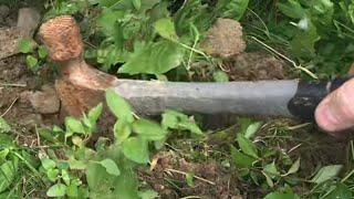 why a straight claw HAMMER works so well as a GARDEN tool (seriously!)