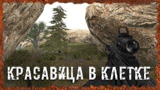 Красавица в клетке S.T.A.L.K.E.R. ОП - 2.2 Народная Солянка