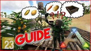 ARK‬: Survival Evolved *GUIDE* Garten/Feld - Gemüse - richtig anbauen [Hilfe/TUTORIAL/Deutsch]