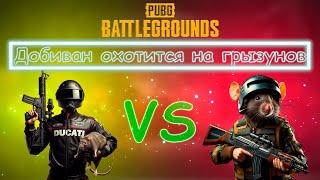 Ночной поток на высоких оборотах!!! Подпишись, поставь лайк!!! #PUBG #STREAM