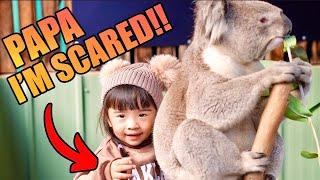 Our Daughter Meets a Koala at the Moonlit Sanctuary (and Phillip Island) 2022