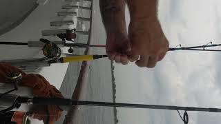 oyster toadfish, porgy fishing Garik Gurman Sea Queen VII Brooklyn N.Y. Fishing Boat sheepshead bay