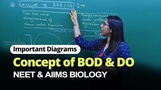NEET Biology | Concept of BOD & DO | Important Diagram | In English | Misostudy