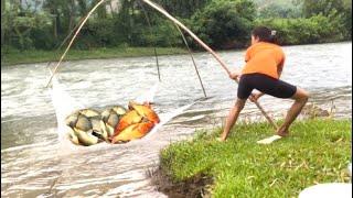 Unique fishing - the girl caught many ornamental red carp