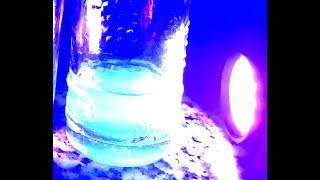 Fluorescent Carbon Quantum Dots at Home