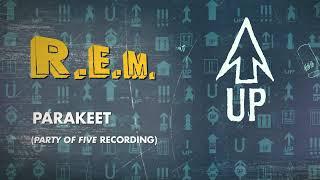 R.E.M. - Parakeet ("Party Of Five" Recording) - Official Visualizer / Up Deluxe Edition