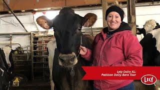 Lely Dairy XL: Pattison Dairy Barn Tour