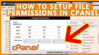 How to Setup file permissions of any file in cPanel?